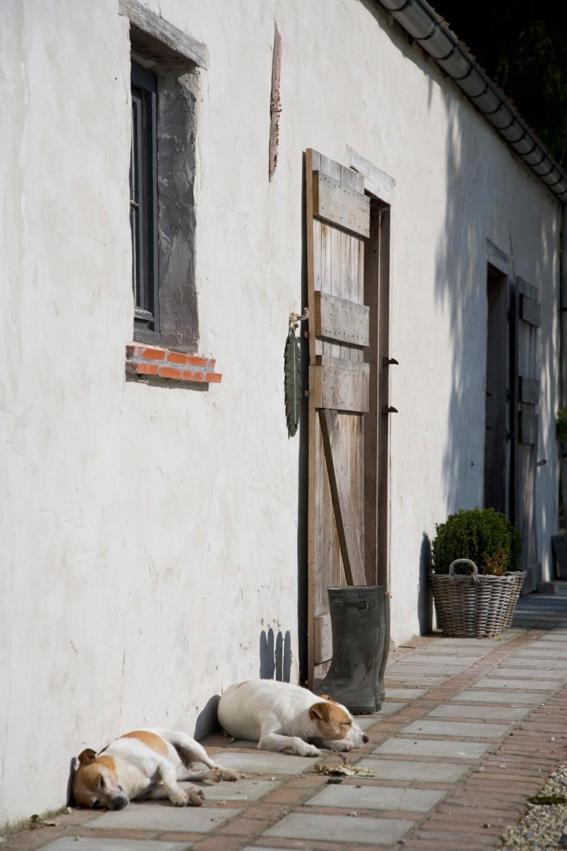 B&B Hoeve De Steenoven Damme Dış mekan fotoğraf